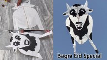 Buchra Kite Making🐂cow kite and flying tutorial - DIY kite