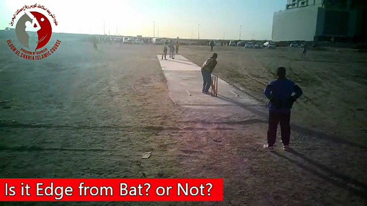 Cricket Rules Quiz: What is the Umpire's Decision? (Out or Not Out?)