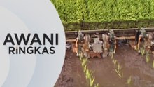 AWANI Ringkas: 10 peratus pesawah di Kedah mula tanam padi