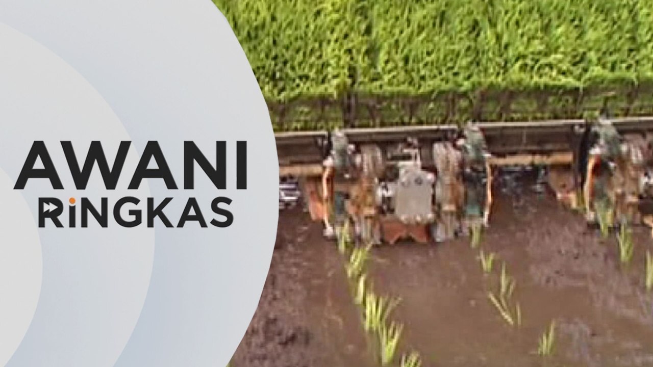 AWANI Ringkas: 10 peratus pesawah di Kedah mula tanam padi