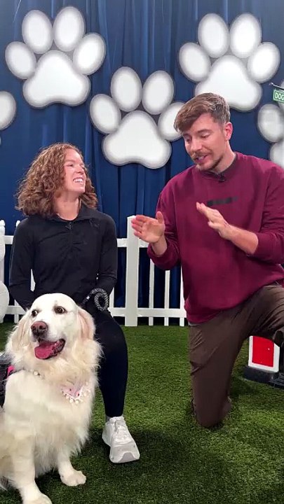 Would Your Dog Pick $10,000 or Steak_