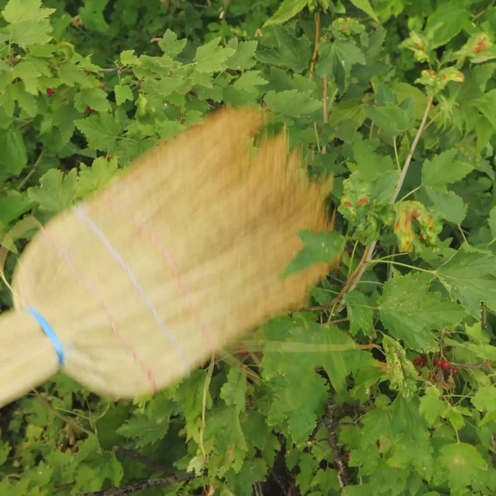 Transform Your Garden with These Creative DIY Hacks