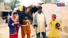 Number daar Zidi Kokar Baaz New Funny Video | Most Comedy Funny Video | You Tv Hd 2025