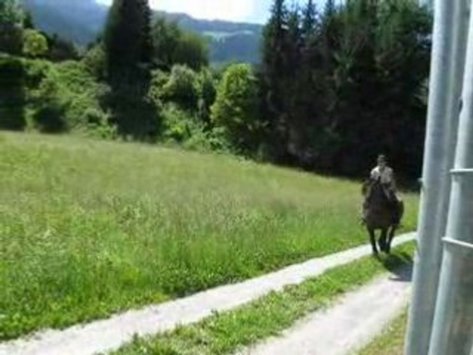 Patty au galop avec Qualia