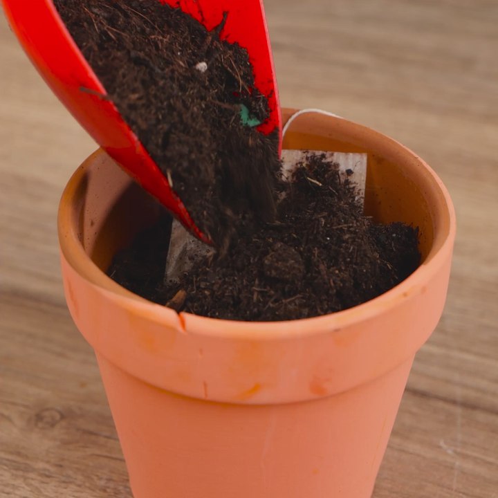 Gardening Secrets for Amazing Results