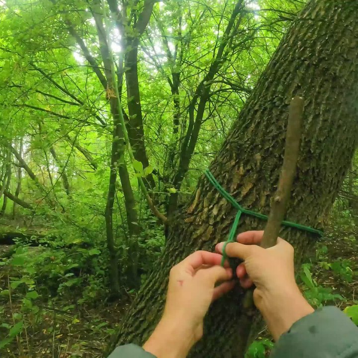 Camping Hacks That Will Elevate Your Outdoor Adventures