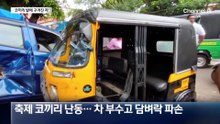 코끼리 난동에 종잇장처럼 찌그러진 자동차
