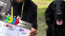 Olivia, la Flat Coated Retriever che Conquista il Cuore degli Spettatori su Rai 1
