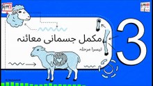 Things to Check Before Buying a Goat for Eid | Complete Bakra Eid Buying Guide 2026 24-05-2026