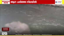 ആനയുടെ ജഡം ഒഴുകിപ്പോയി; തമിഴ്നാട് ആളിയാർ ഡാം കനാലിൽ ആന ചരിഞ്ഞ നിലയിൽ | Tamilnadu | Elephant