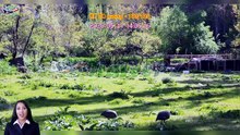 「TravelPZ」 Review Cappadocia: Guided Green Tour including Lunch with Hotel Transfers