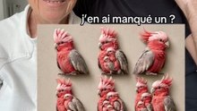 Qui a raison ? 😂