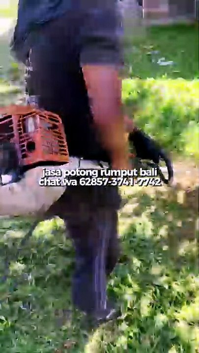 Jasa Potong Rumput Bali | Mesin STIHL FS-3001  #JasaPotongRumput #PotongRumput #StihlFs3001 #JasaBabatRumput #Bali