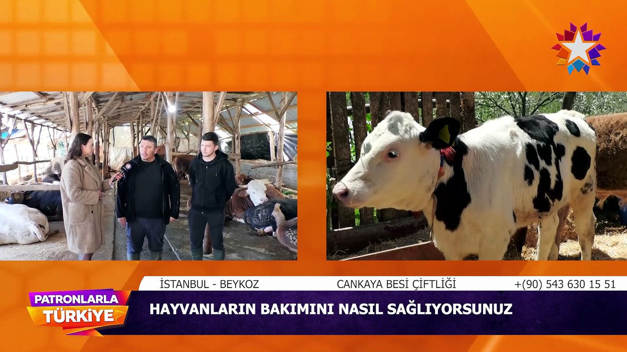 Cankaya Besi Çiftliği | Patronlarla Türkiye