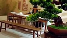 Ilusi Cinta Kakak CEO | Love Dellusion CEO Brother | Drama Pendek China | CDrama Daily | SUB INDO
