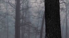 Viral Gaming Lore JSON