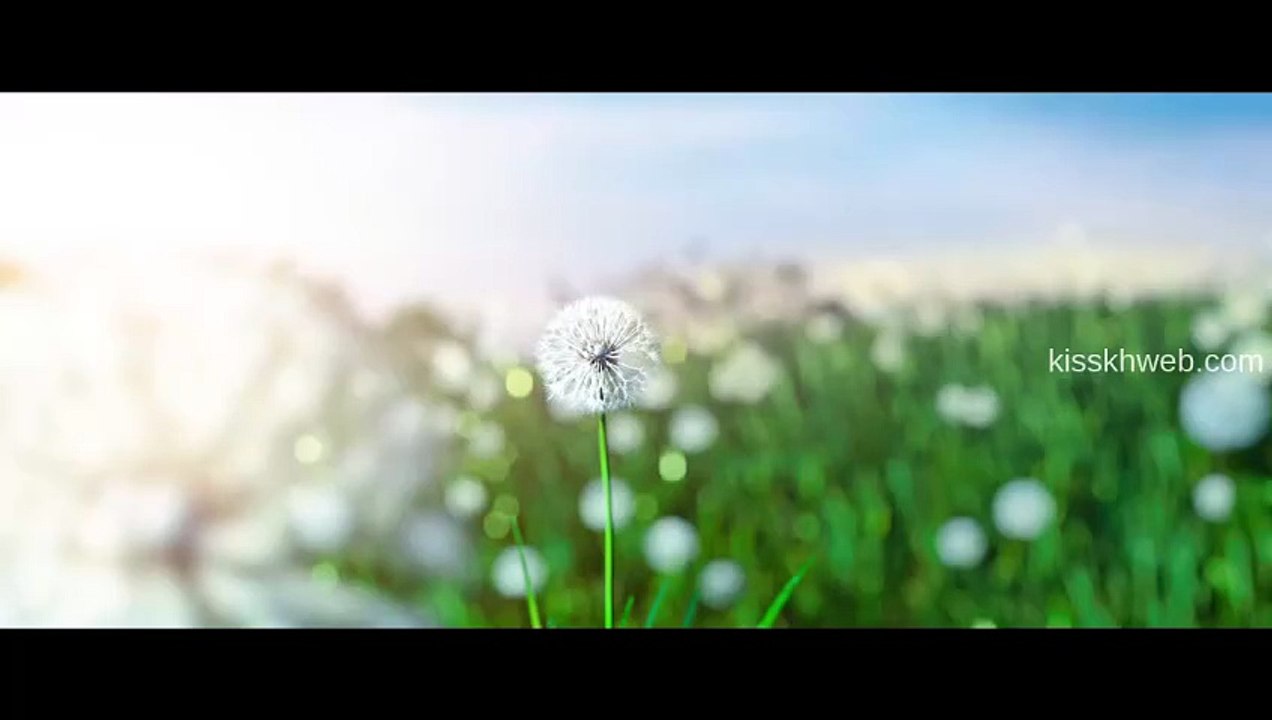 [ENG] Single in Seoul (2023)