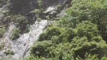 The sound about nature