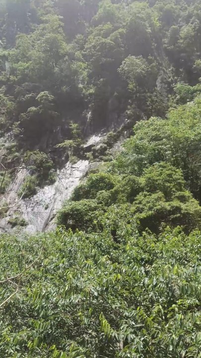 The sound about nature