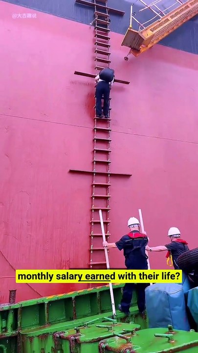Ship pilots earn $50K/month—boarding the vessel is the most dangerous part! ⚓⚠️ #ShipPilot #Maritime