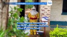 Le notizie del giorno | 24 maggio 2026 - Serale