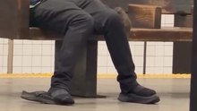 New York City Subway Rat Gets a Free Ride on a Man's Lap! 🐀🚇