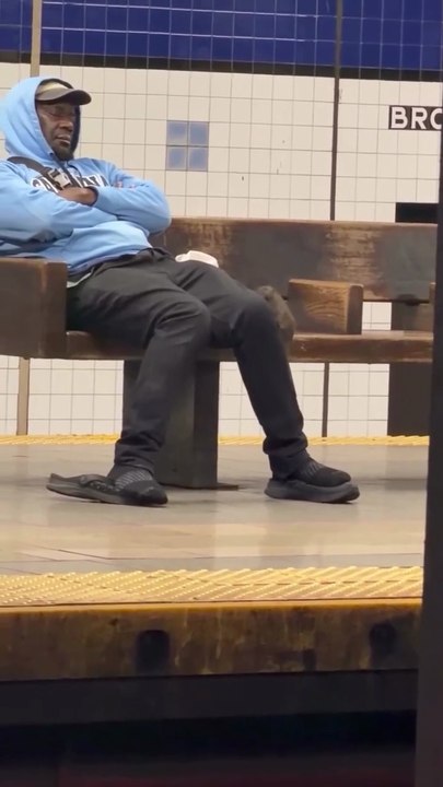 New York City Subway Rat Gets a Free Ride on a Man's Lap! 🐀🚇