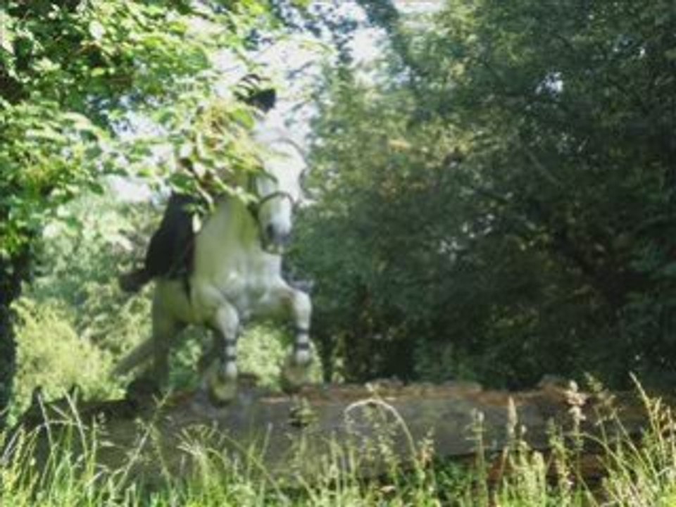 Maria et Gitan