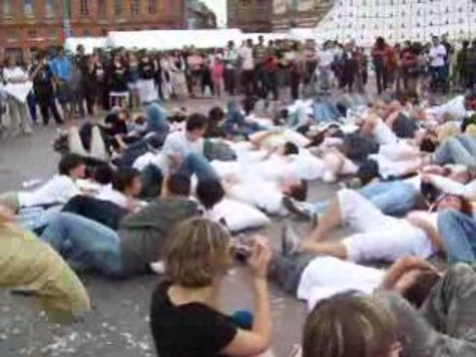 pillows fight toulouse