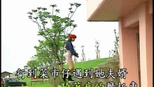 張蓉蓉 - 恁姊仔住市內