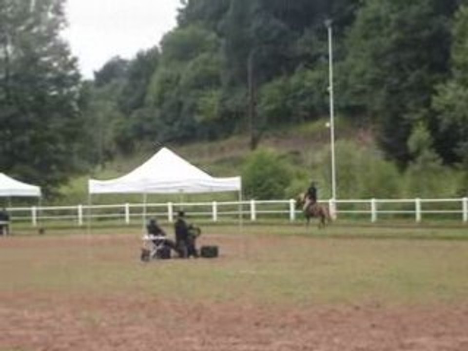 Concours d'allure