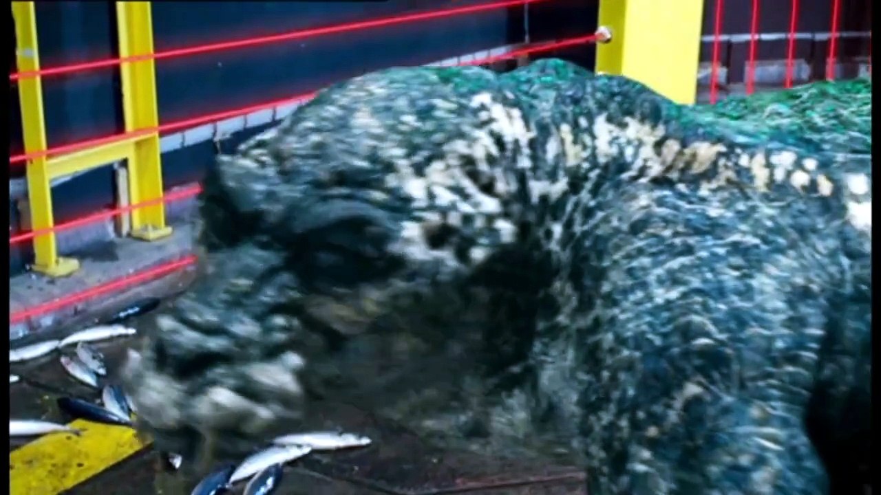 Primeval 2x07 (Castellano)