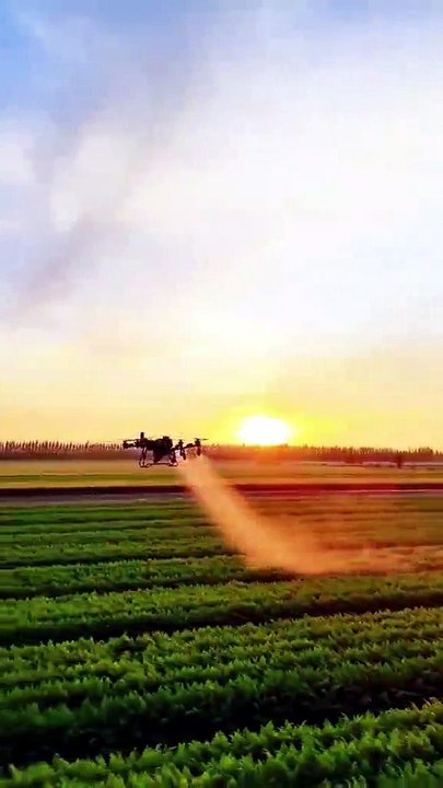 🇨🇳🚁 En Chine, les drones révolutionnent l’agriculture