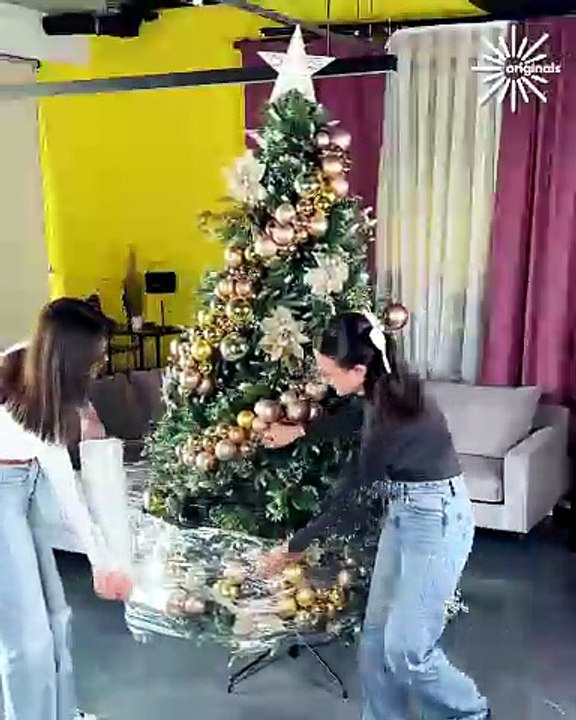 How to save your tree for next year 🎄