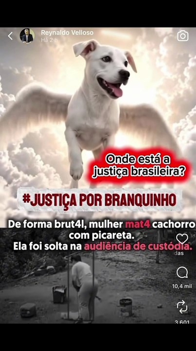 Sem compaixão