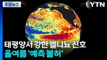 태평양서 강한 엘니뇨 신호...올여름 '예측 불허' / YTN