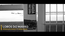 LOBOS DO MARÃO