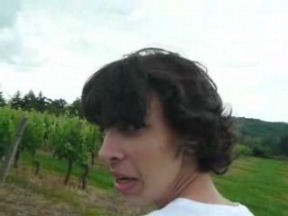 La course aux vignes