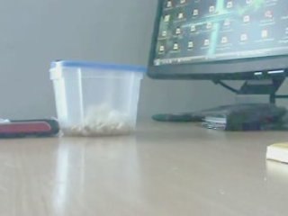 Cell Phone Popcorn Maker