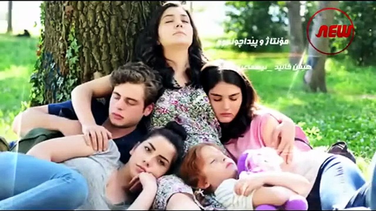 چۆلەکە بێ باڵەکان ئەڵقەی 2