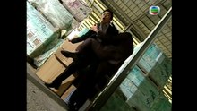 buocngoaccuocdoiE44