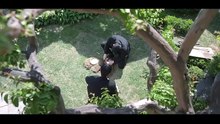 My Sweet Mobster - Episode 8 EngSub [xa9uw8c]
