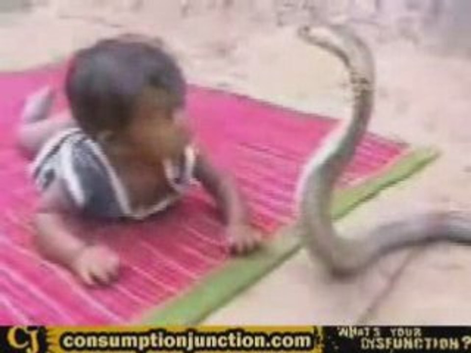 Baby play with KOBRA
