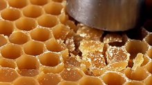 Satisfying ASMR: Honeycomb Soap Block Collapse & Macro Slicing