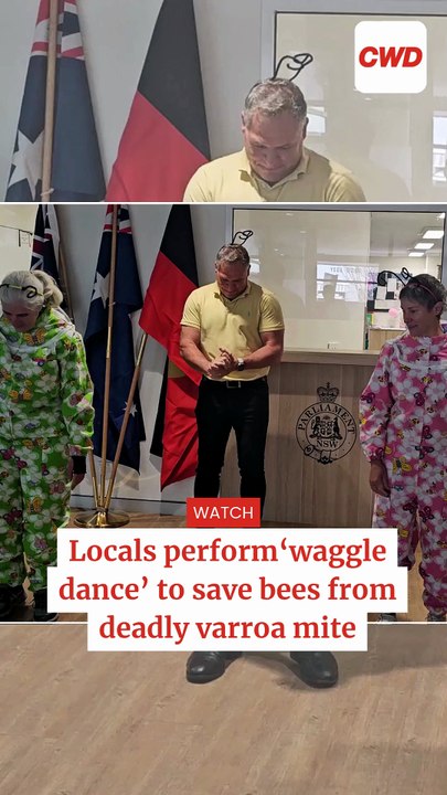 Dancing for the bees: Locals 'waggle' to fight varroa mite
