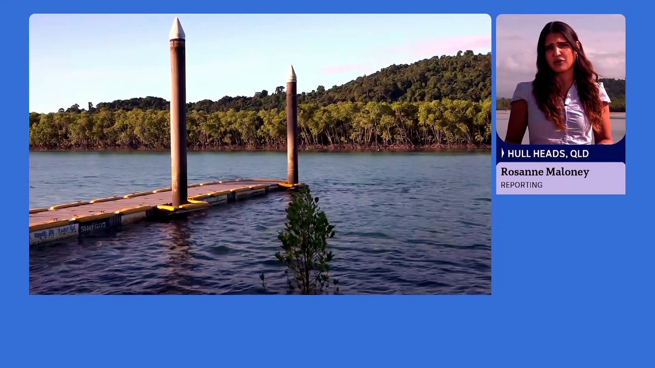 Second fatal shark attack in Australia this mon...