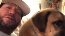 A man and his dog humorously grumbling about Mondays is a must-see