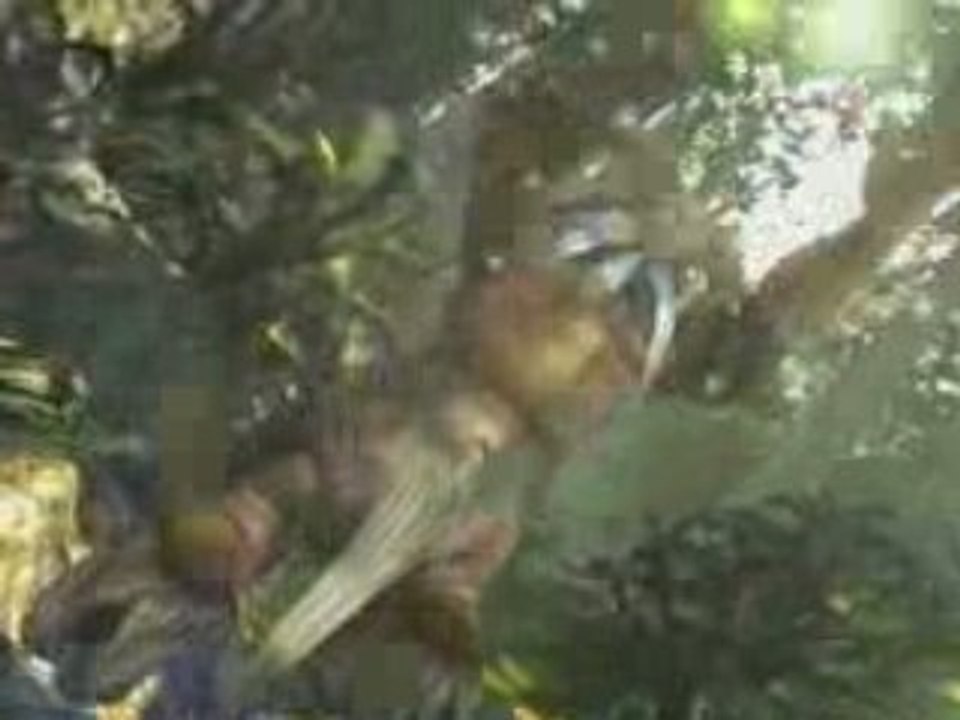 Rise of the Argonauts Trailer  (PC PS3 X360)