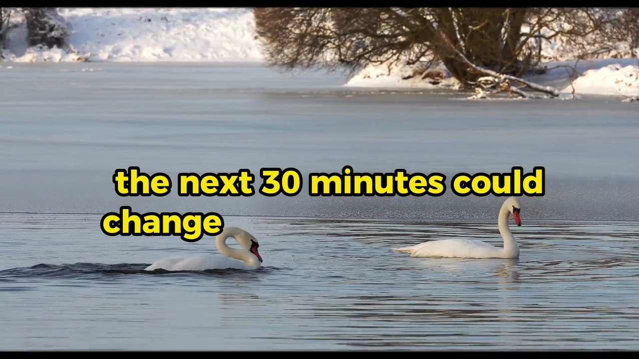 30 Minutes To Start Your Day Right | MORNING MOTIVATION | Powerful Motivational Speech 2026