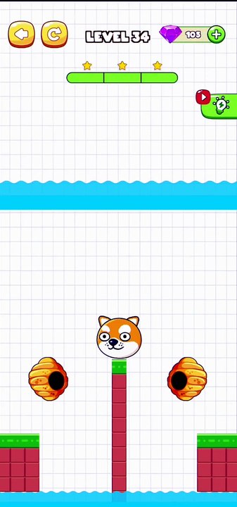 Save The Pets Level 34